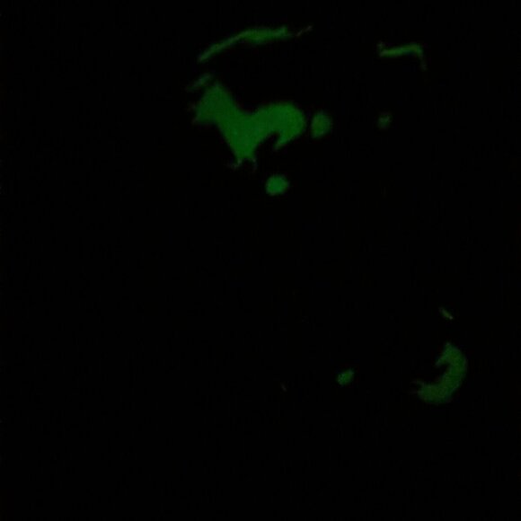 Bellisimo Glow in the Dark GITD Purple Unicorn Flannel Blanket 50"x60" NEW - Picture 6 of 7